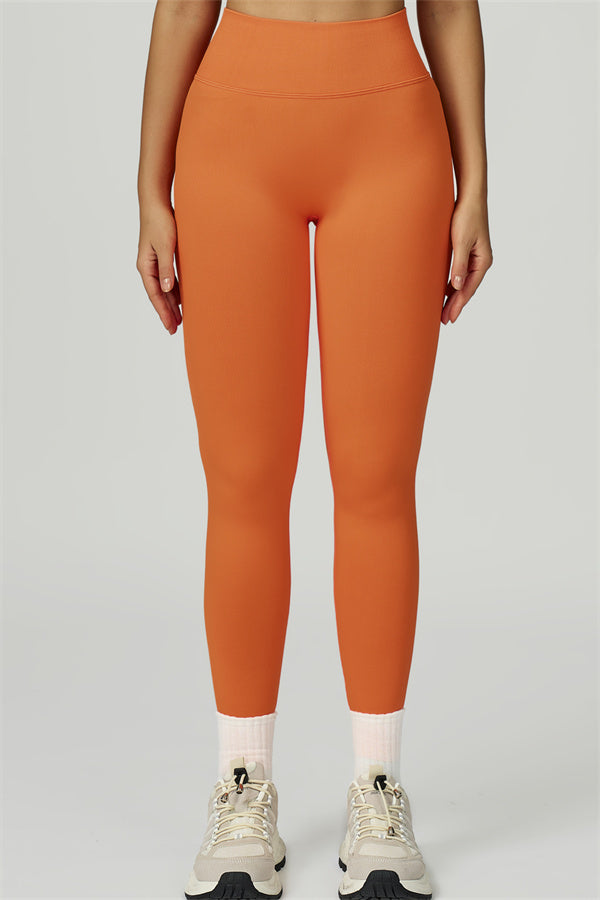 Bali Motion Sports Bra Leggings 2-Piece Set