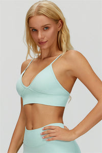 The Lagoon Sports Bra