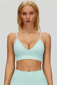 The Lagoon Sports Bra