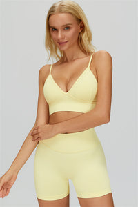 The Lagoon Sports Bra