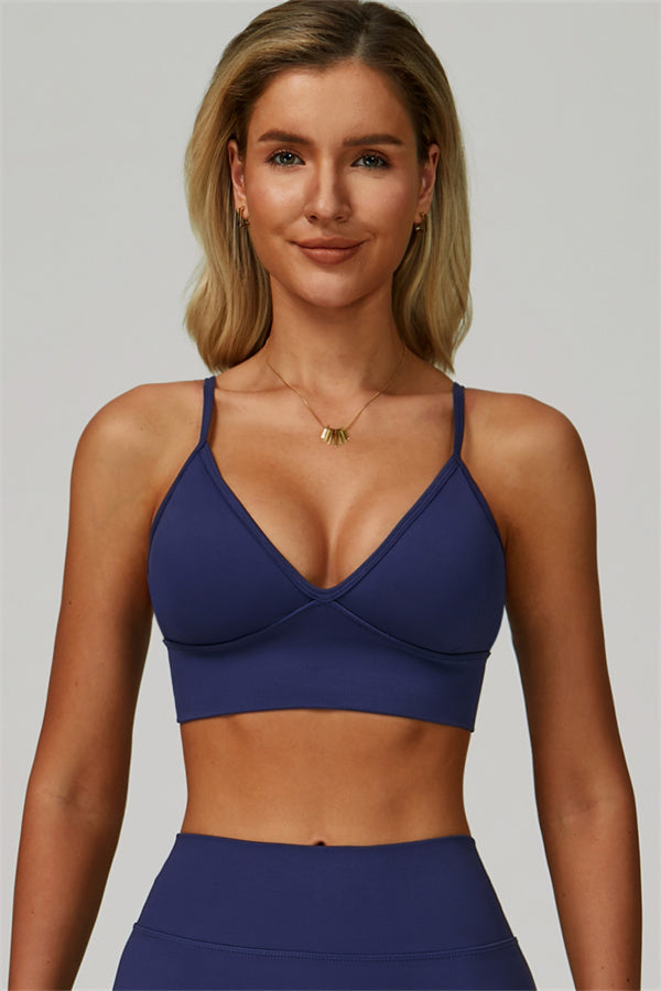 The Lagoon Sports Bra