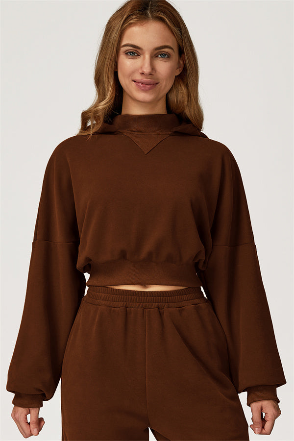 The Axis Crop Hoodie — Bistre