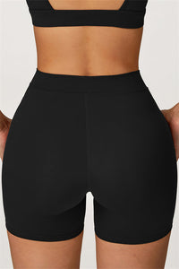 The Axis Sports Bra Shorts 2-Piece Set