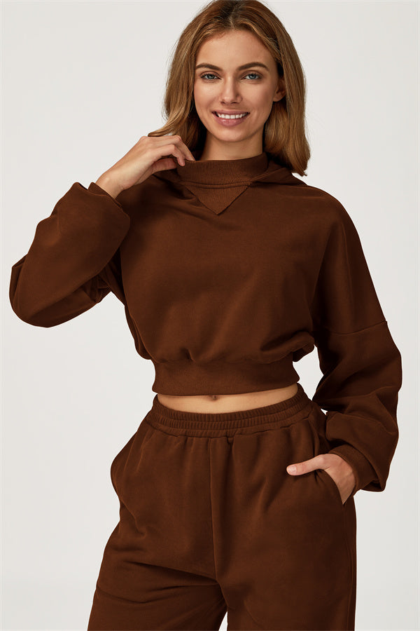 The Axis Crop Hoodie