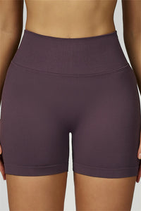 Bali Motion Sports Bra Shorts 2-Piece Set